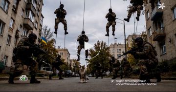 От классиков до мяуканья: Украина и Запад продолжают запреты на все русское