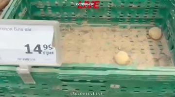 � ����� ����� ������ �� �� � ��������� ������������� ��������, �������� ������� ��� � ��������� ����������� ������� �����, ���������, �����, �������, ��������� ����� �������� � ������������ ��������������. �������� �����...