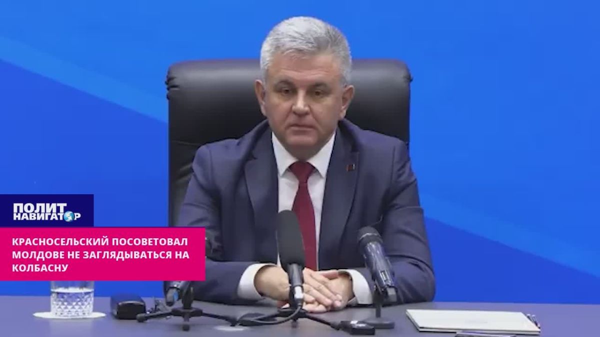 Красносельский посоветовал Молдове не заглядываться на Колбасну
