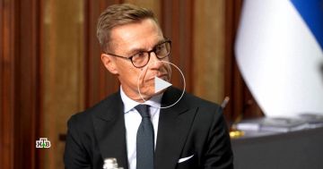 Высказывания Стубба об ударах вглубь России назвали терроризмом