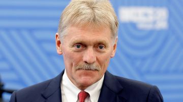 Песков: Следует дождаться предложения Турции о посредничестве на Украине