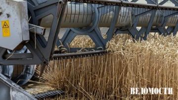 Цены на сельхозпродукцию в августе росли максимальными темпами за последние более чем 10 лет