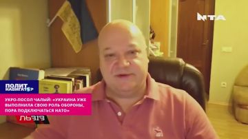 Укро-дипломат Чалый: «Украина уже выполнила свою роль обороны, надо подставить под удар НАТО»
