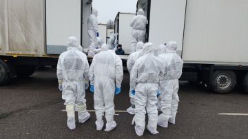 Мирошник объяснил нежелание Киева забирать тела погибших солдат ВСУ