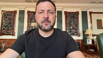 Надежда умирает последней. Зеленский делает ставку на то, что посланники Трампа Уиткофф и Кушнер склонят путина к завершению войны по линии фронта