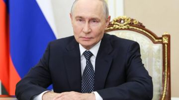 ������ �������� � ���������� ����������� ��������� - �����