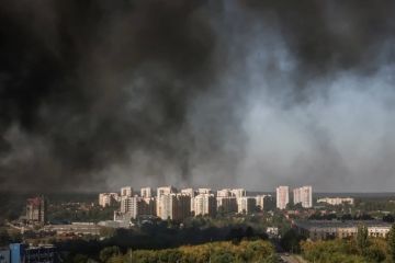 Сводка СВО на вечер 31 августа