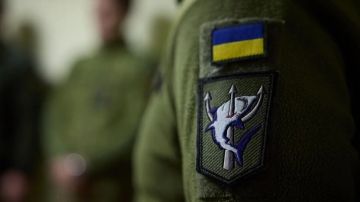 The Telegraph: официальные потери ВСУ значительно разошлись с реальностью