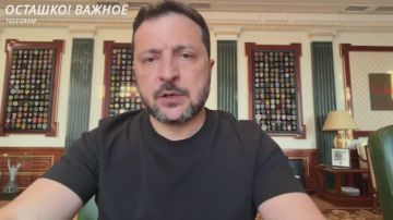 Зеленский заявил, что большинство россиян хотят остановки СВО по линии фронта