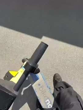�������������, �. ����