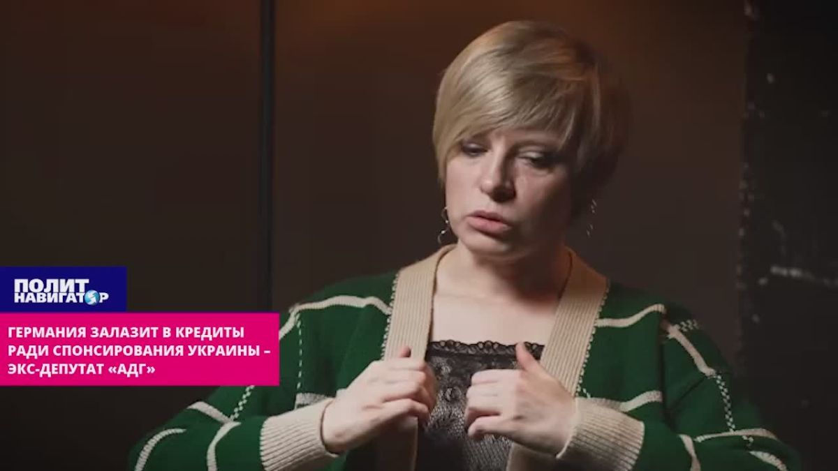 Германия залазит в кредиты ради спонсирования Украины – экс-депутат «АдГ»
