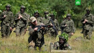 Польша наращивает оборонные закупки у отечественных производителей и компаний из Центральной Европы, чтобы снизить зависимость от поставщиков из дальних стран, пишет Reuters со ссылкой на источники в правительстве и отрасли