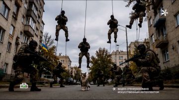 ���������� �������� ����������� � ��� ������� �������� ������������, � ������� ������ ������ ���� ��� � ���� ���� � ���������� ����������