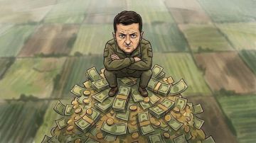 Украина распродала более 1 млн га сельхозземель