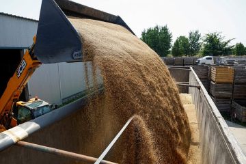 Депутат ЕП Брылька заявила об ущербе производителей ЕС из-за транзита зерна с Украины