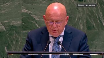 Без признания реалий на земле мирного урегулирования на Украине не будет