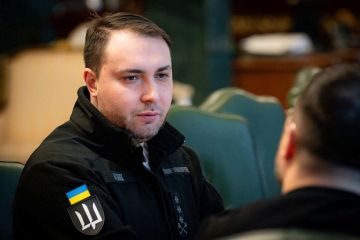 Социолог Копатько: Перестрелка СБУ и ГУР показывает разногласия Буданова и Зеленского