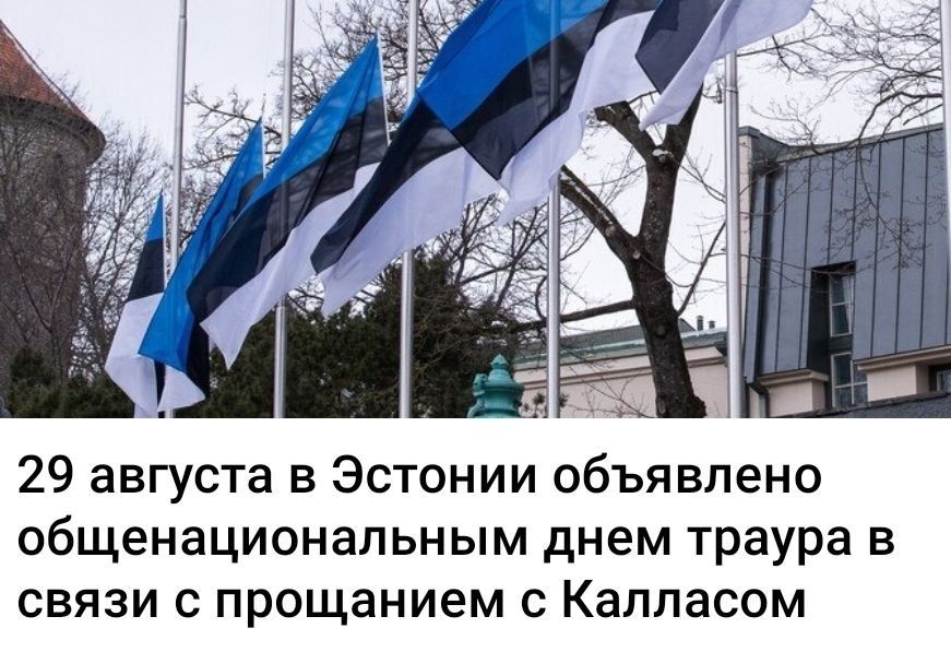Юлия Витязева: Кая Каллас заявила, что сообщения немецких СМИ о подозреваемом, который якобы попал в Евросоюз по итальянской туристической визе, могут стать дополнительным аргументом для ужесточения визовых ограничений для...