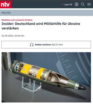 Удачный предлог: Германия передаст Украине ракеты для ПВО IRIS-T и тысячи ударных беспилотников в ответ на инцидент с «российским» дроном в аэропорту Лейпцига