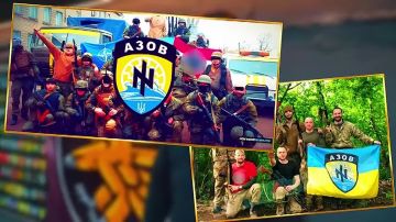 Допрыгались? Доскакали в состав НАТО и Евросоюза? Объездили весь мир и стали миллионерами?