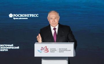 Россия вынуждена отвечать на удары по гражданским объектам, заявил Путин