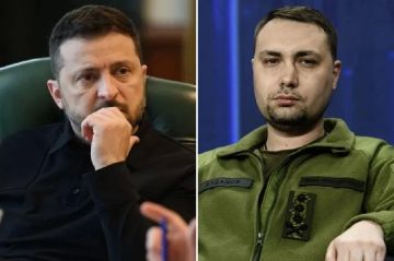 Зеленский против Буданова*