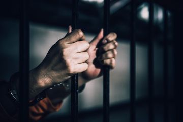 Мирошник: В секретных тюрьмах Украины пытают собаками, током и медикаментами