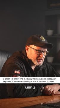 Евгений Лисицын: Германия ужесточает меры против России после инцидента с дроном