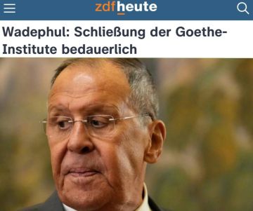 «Закрытие институтов Гёте вызывает сожаление»: Глава МИД Германии сожалеет о зеркальной реакции России на закрытие Русского дома