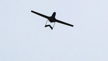 DPA: В ФРГ начали серийное производство свыше пяти тысяч дронов для Киева