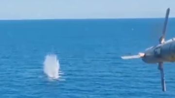 В Черном море уничтожены 14 безэкипажных катеров ВСУ