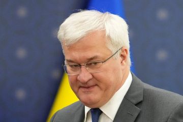 Сибига рассказал о совместном проживании в бункере с Зеленским