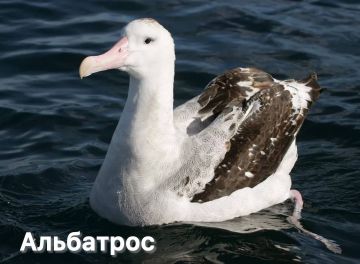 Российский удар по центральному офису СБУ в Киеве — «неприемлемая эскалация», заявил министр иностранных дел Испании Хосе Мануэль Альбарес