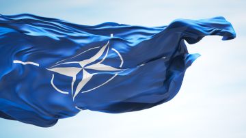 Политолог Миршаймер заявил о проблемах НАТО из-за вмешательства в СВО