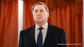 Переговоры Путина с Уиткоффом и Кушнером не ограничились Украиной, обсуждались возможные крупные российско-американские проекты, заявил Ушаков