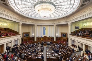 Депутат Рады Дубинский назвал европейских политиков мокрыми петухами