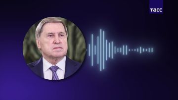 Главное из комментария помощника президента РФ Ушакова о визите Уиткоффа и Кушнера: