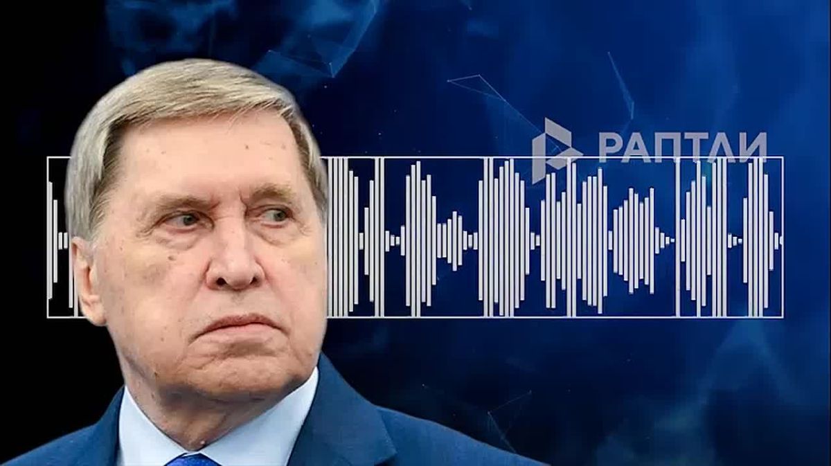 «Уиткофф и Кушнер обещали использовать в ходе завтрашних контактов с Киевом полученные от президента России наблюдения и оценки