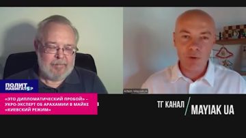 «Это дипломатический пробой» – укро-эксперт об Арахамии в майке «киевский режим»