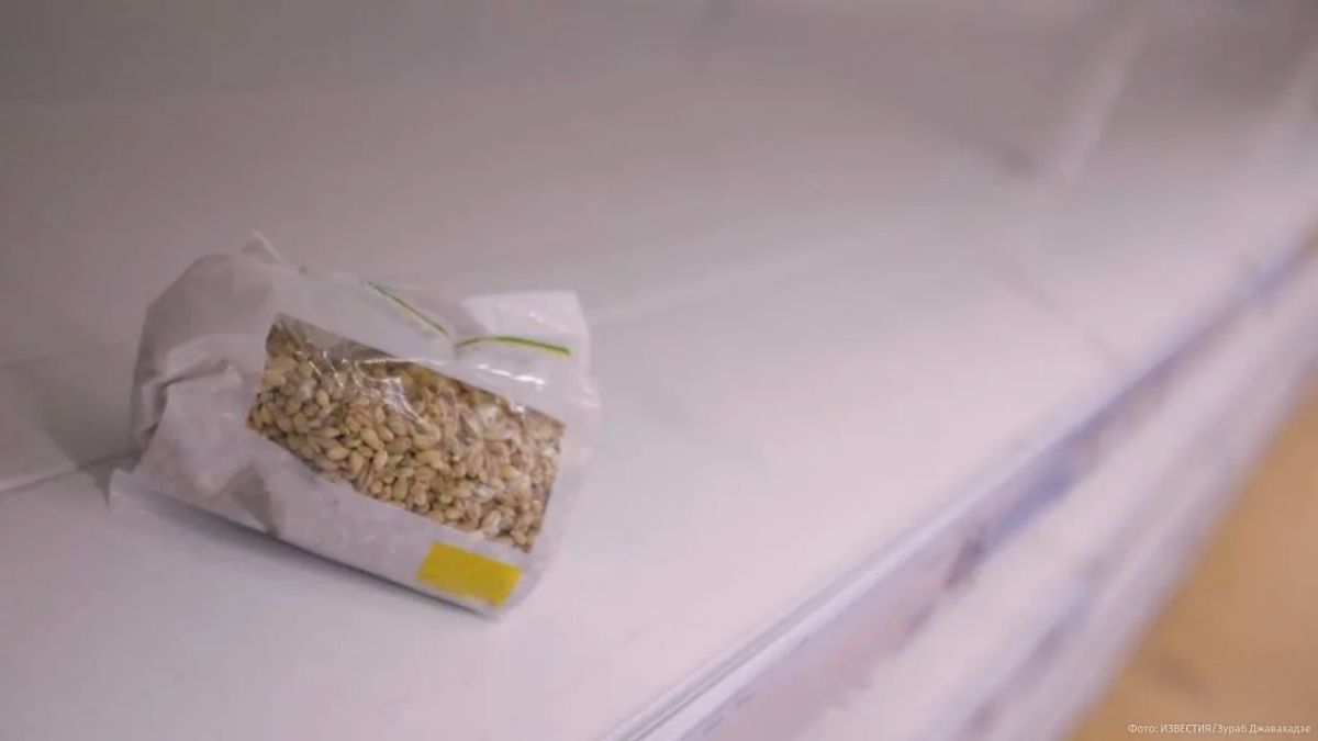 Консервы по лимиту: в украинских "Ашанах" вводят нормы на продукты первой необходимости