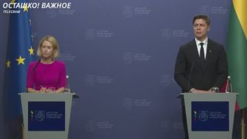Каллас заявила, что Россия должна идти на уступки, если хочет мира