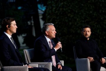 Сенатор Карасин назвал усилия Уиткоффа и Кушнера по Украине позитивными