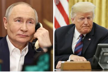 Дмитрий Стешин: О чем говорили Путин и Трамп?