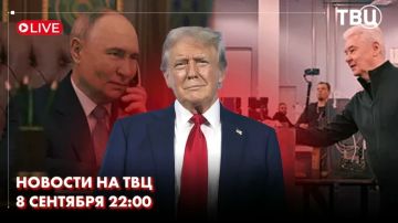 Владимир Путин поговорил с Дональдом Трампом