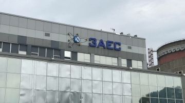 МАГАТЭ высоко оценило согласованные действия РФ и Украины в районе ЗАЭС
