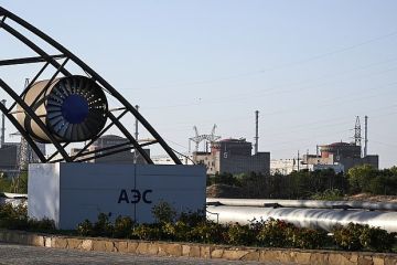 Гросси поблагодарил Россию и Украину за прекращение огня для ремонта снабжения ЗАЭС