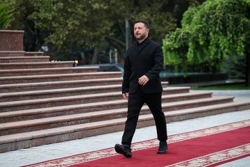 Климов: Заявление о компромиссе Зеленского является попыткой выиграть время