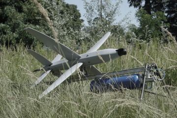 Польские дроны-камикадзе.. Польская компания FlyFocus показала на #MSPO дрон-камикадзе TASACK. Озвученные характеристики: Дальность до 110 км;