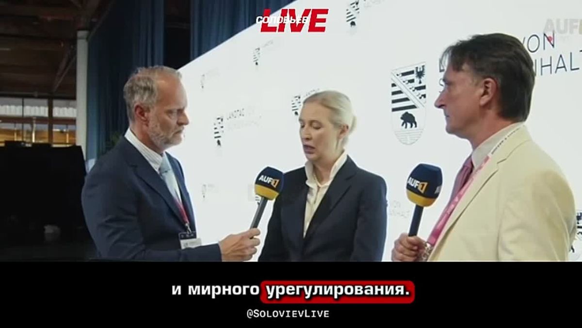 Германия могла бы выступать нейтральным посредником между Россией и Украиной, однако нынешнее правительство превратило её в «подстрекателя к войне», подчеркнула сопредседатель АдГ Алис Вайдель