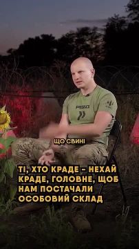 Украинские нацисты нуждаются в «живом мясе» на фронте